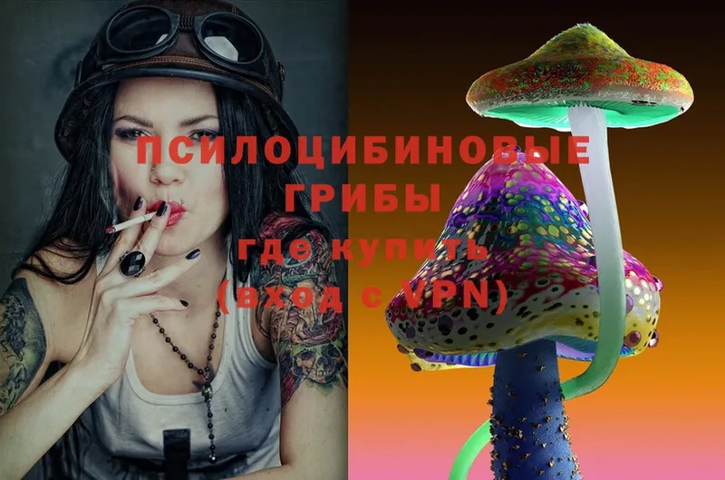 Псилоцибиновые грибы Magic Shrooms  продажа наркотиков  Звенигово 